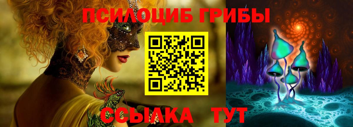 купить закладку  Галлюциногенные грибы Psilocybe  Вход с VPN  Псилоцибиновые грибы GOLDEN TEACHER  Мценск 