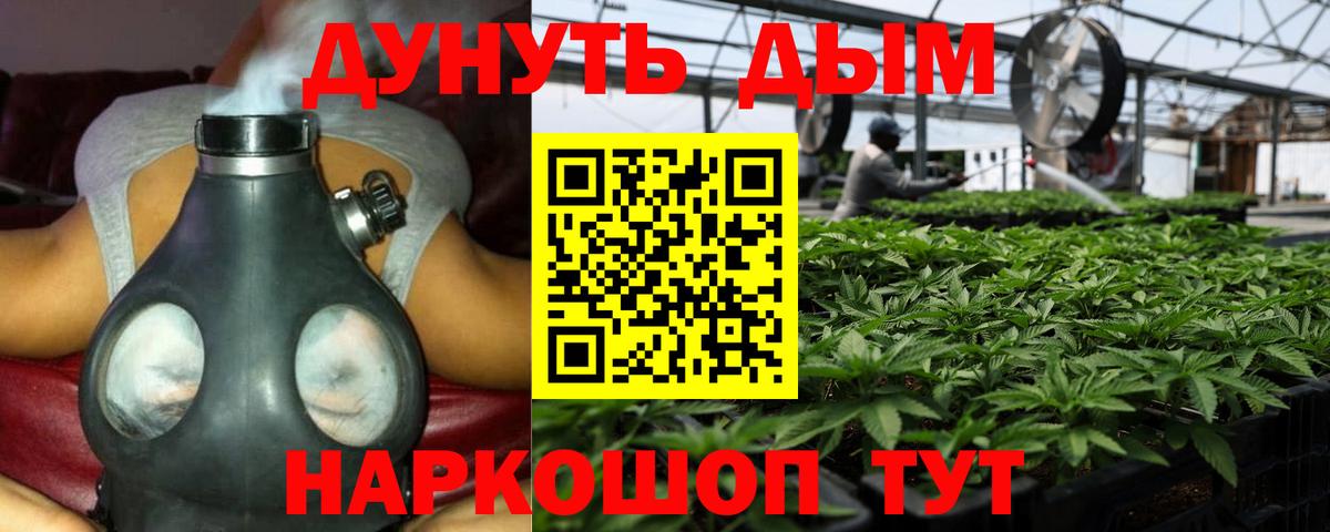 Канабис Bruce Banner  Каннабис планчик  Вход с VPN  Мценск 